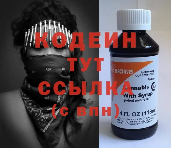 купить закладку  Елизово  Codein Purple Drank 