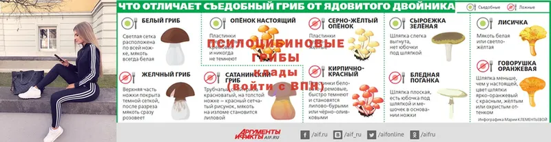 где можно купить   Елизово  Галлюциногенные грибы прущие грибы 